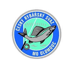 Bez GGn&aacute;zvu.png