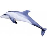 Plyšový polštář Delfín skákavý MINI