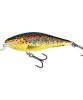 Wobler Salmo Executer Shallow Runner - Trout Floating