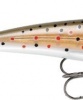 Wobler Rapala X Rap 04 TR